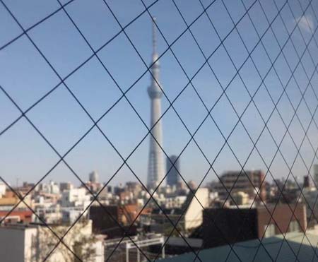 おいしい思ひ出 おいしい思ひ出