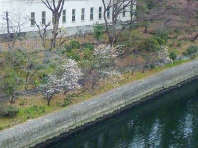 おいしい思ひ出 おいしい思ひ出