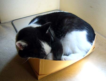 今日も元気に 今日も元気に