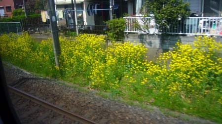 おいしい思ひ出 おいしい思ひ出