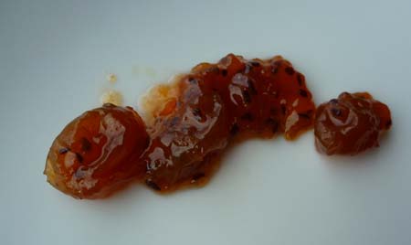 おいしい思ひ出 おいしい思ひ出