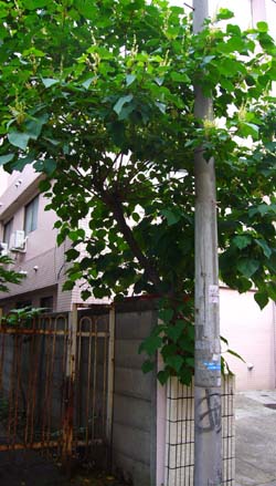 ラブホな人々 ラブホな人々