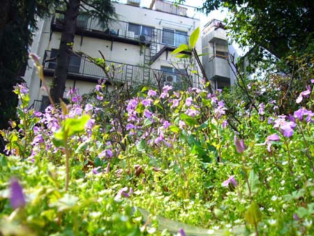 ラブホな人々 ラブホな人々