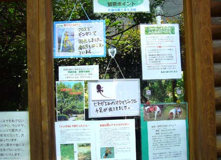 ラブホな人々 ラブホな人々