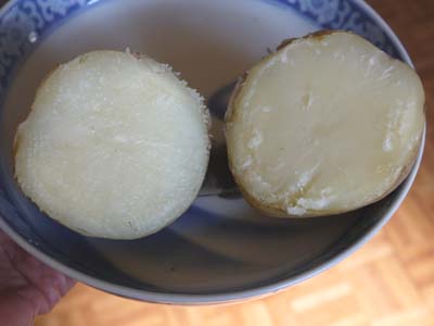 おいしい思ひ出 おいしい思ひ出