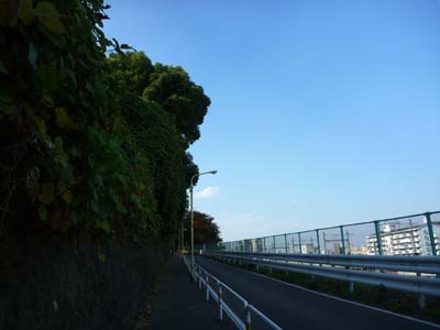 おいしい思ひ出 おいしい思ひ出