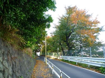 おいしい思ひ出 おいしい思ひ出