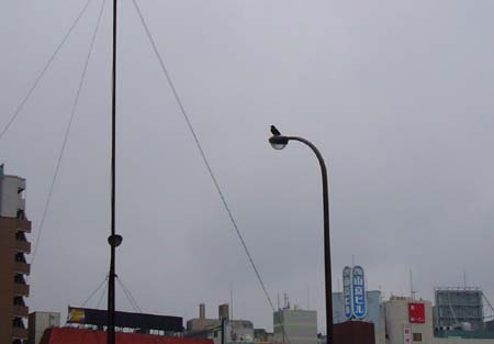 ラブホな人々 ラブホな人々