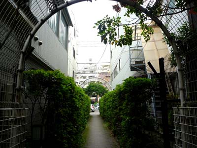 ラブホな人々 ラブホな人々