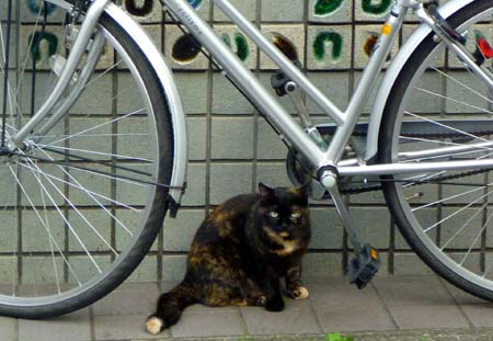 今日も元気に 今日も元気に