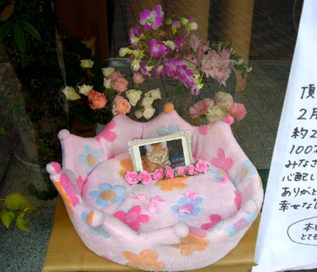 今日も元気に 今日も元気に