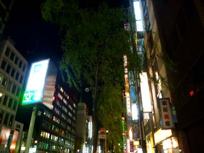 おいしい思ひ出 おいしい思ひ出