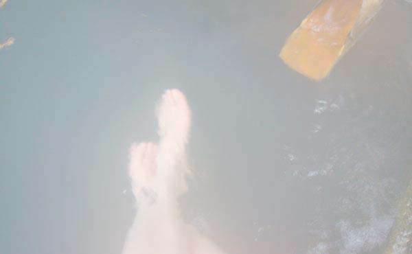 まるみの　湯気の向こうに