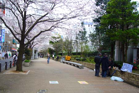 ラブホな人々 ラブホな人々