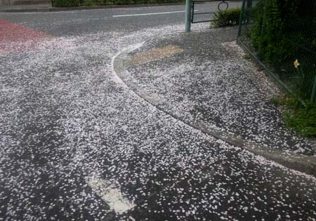 今日も元気に 今日も元気に
