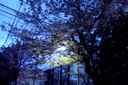 今日も元気に 今日も元気に