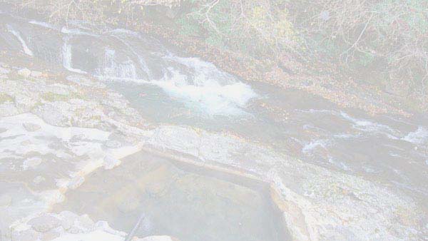 まるみの　湯気の向こうに