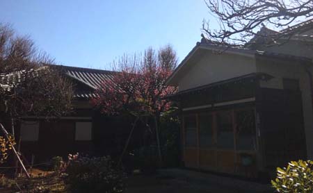 今日も元気に 今日も元気に