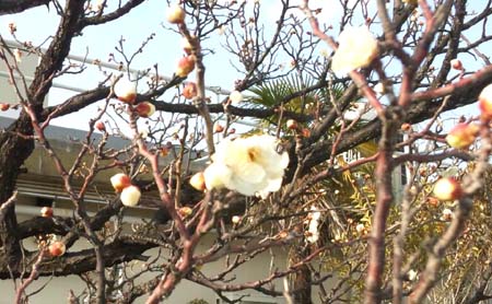 今日も元気に 今日も元気に