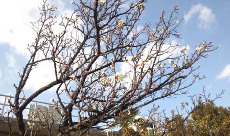今日も元気に 今日も元気に