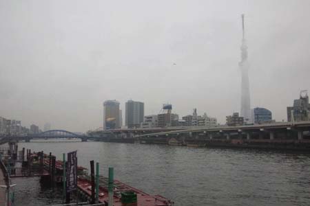 今日も元気に 今日も元気に