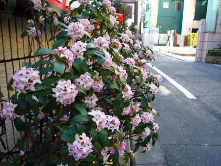ラブホな人々 ラブホな人々